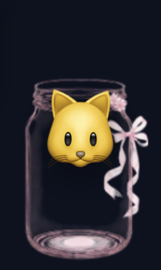 Mẫu Pet của IdolFX